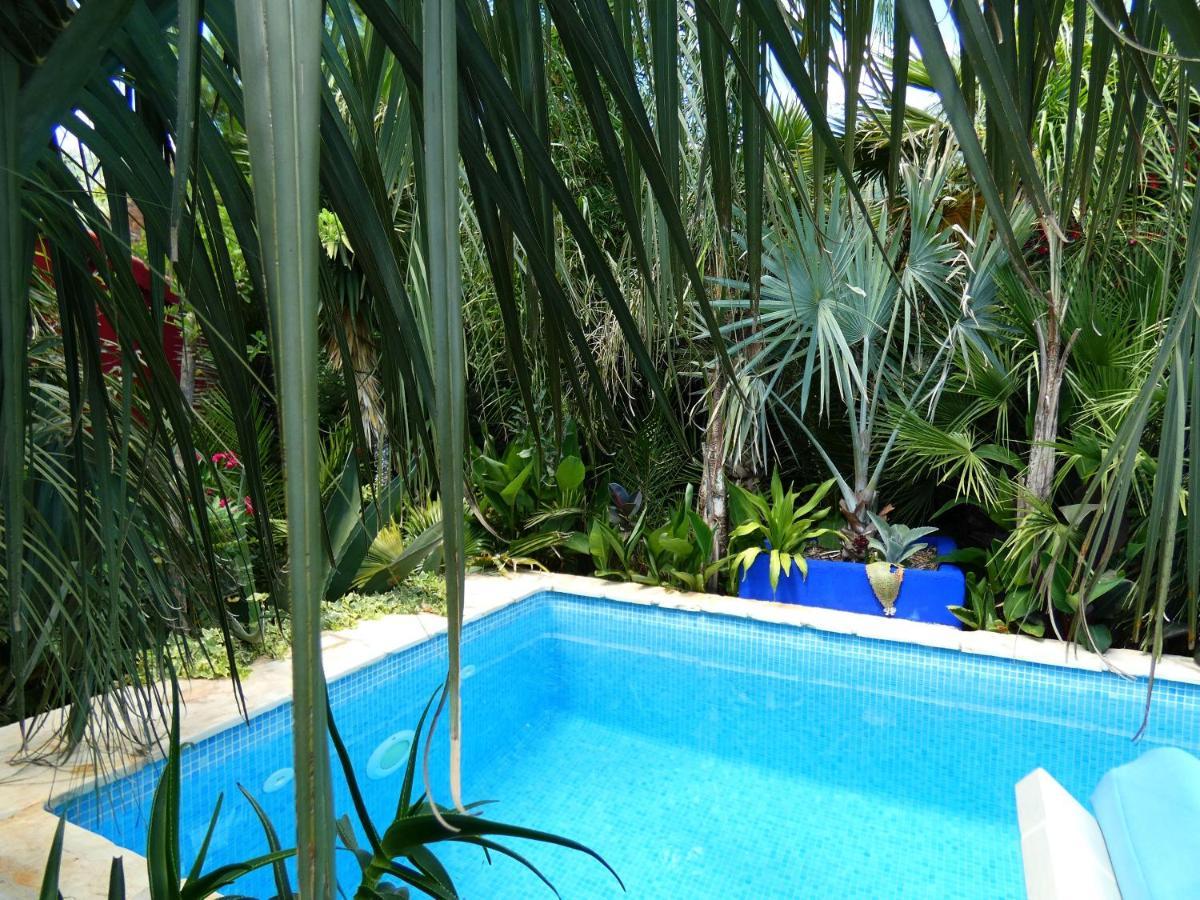 Villa Tropica, Total Privacy, Tropical Garden And Private Pool Kastela Luaran gambar